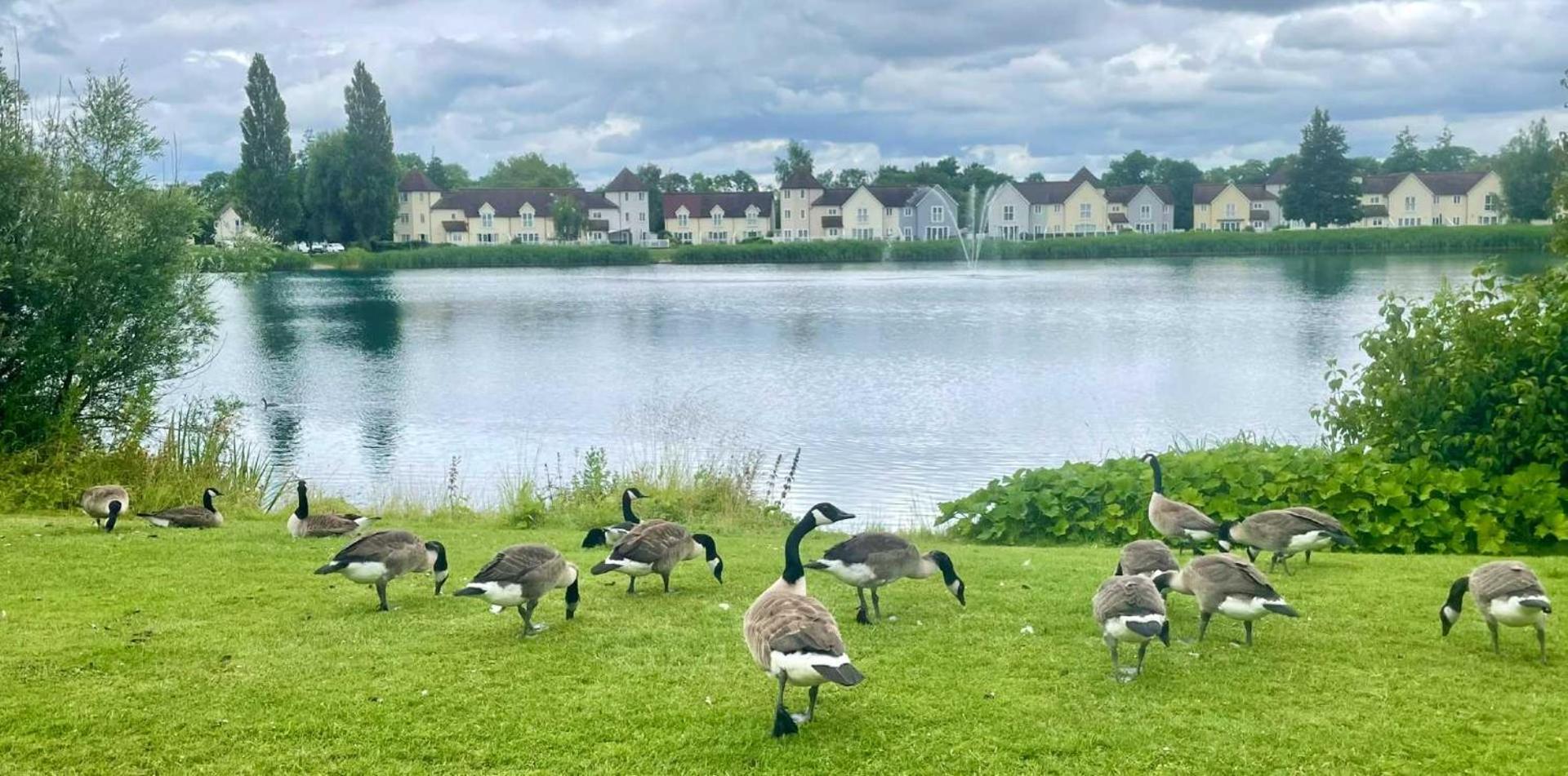 Nyhavn Lakeside Cottage سيرنسيستر المظهر الخارجي الصورة