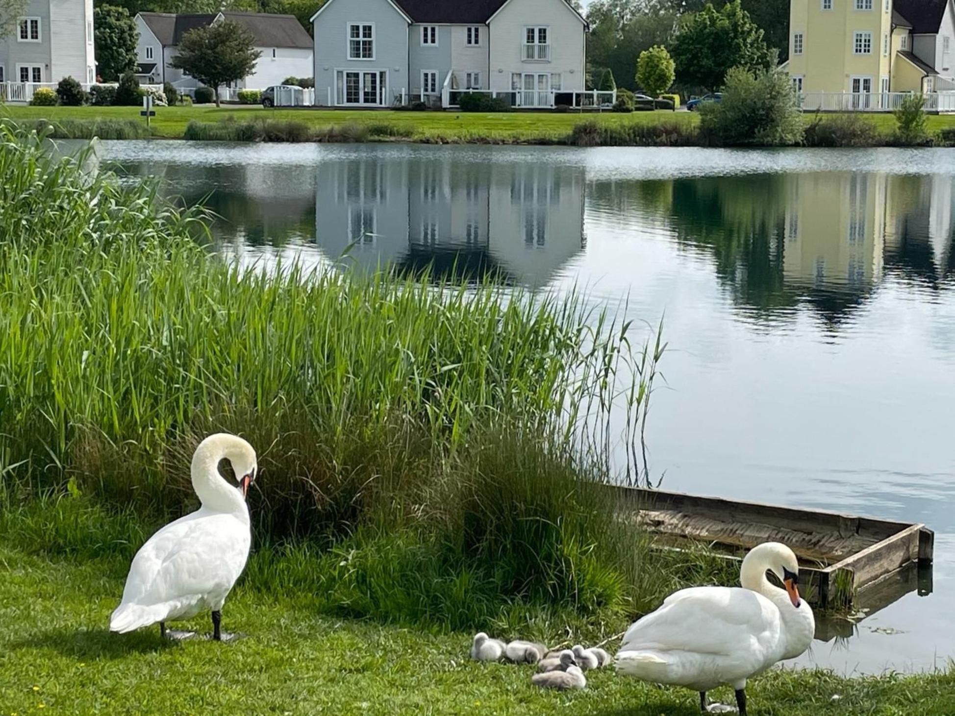 Nyhavn Lakeside Cottage سيرنسيستر المظهر الخارجي الصورة